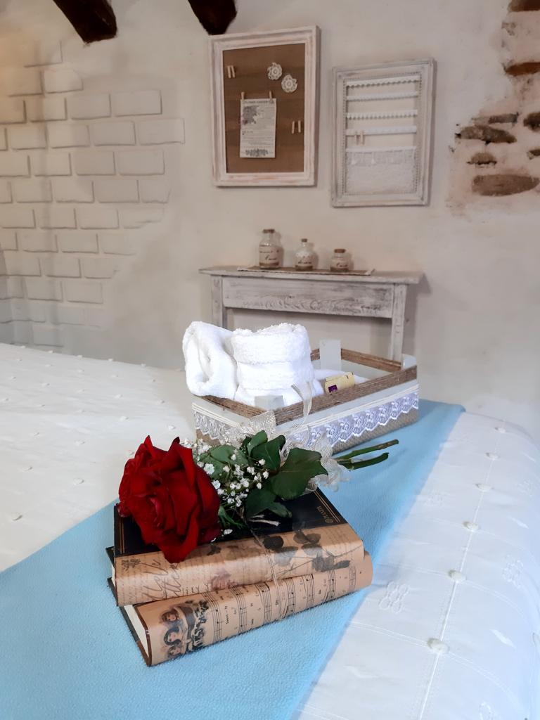 Los-olivos-espacios-casa (24)
